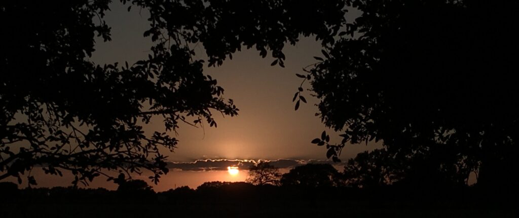 Texas sunset
fear
opportunity
